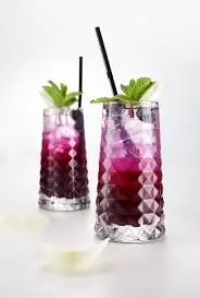 Blueberry Cooler