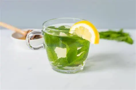 Mint Tea (No Cookie)