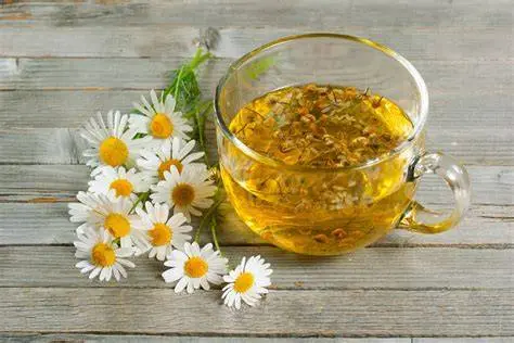 Chamomile Tea (No Cookie)